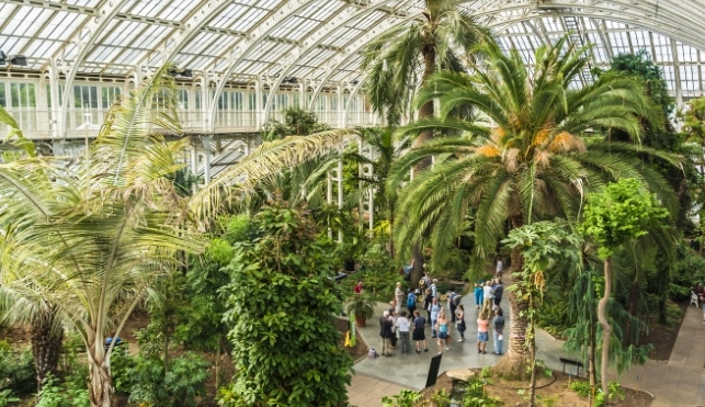 Inside Kew Gardens greenhouse